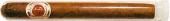 La Flor de Cano Cristales La Flor de Cano Cristales